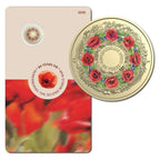 2025 80th Anniversary WWII C-Mint PNC